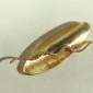 6. Brooch, 18kt gold, diamonds