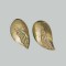 earpieces 18kt gold